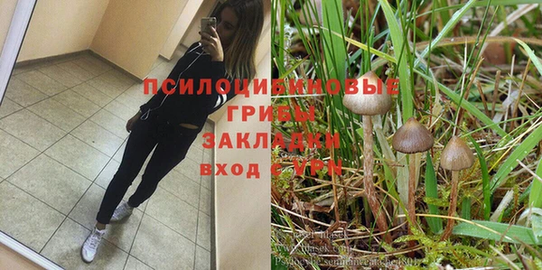 тгк Строитель